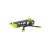 Rama Volador VX3.5 O4 Freestyle